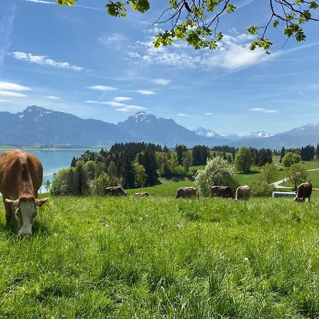 Best Butler Boho Boutique City Apartment Netflix Füssen Kültér fotó