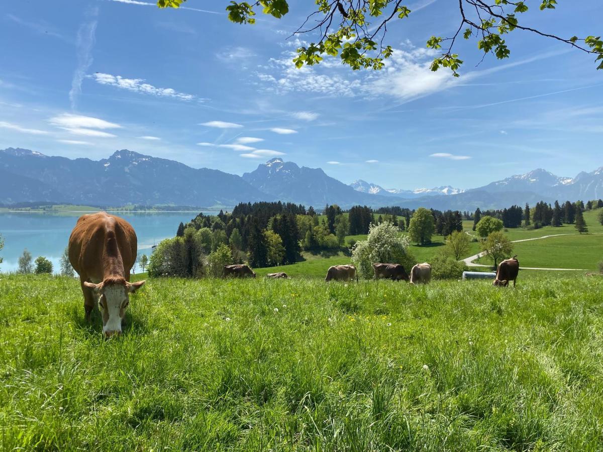 Best Butler Boho Boutique City Apartment Netflix Füssen Kültér fotó